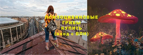 мдпв Елабуга