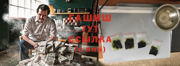 мдпв Елабуга